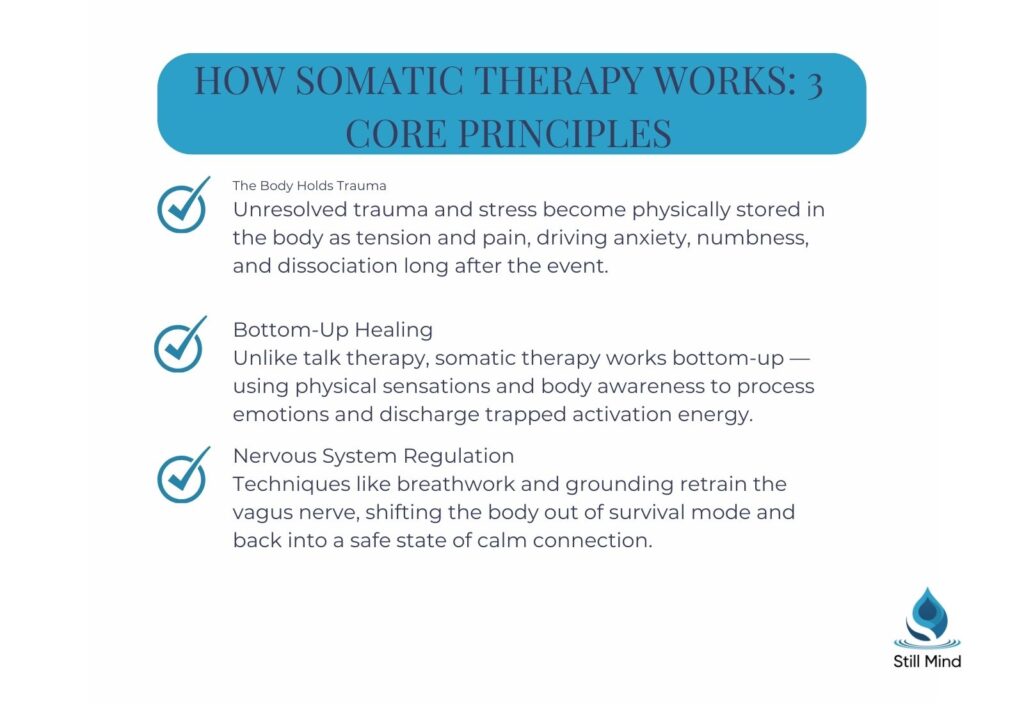 3 core principles of somatic therapy  the body holds trauma as tension and pain, bottom-up healing processes emotions via body awareness, and nervous system regulation retrains the vagus nerve.