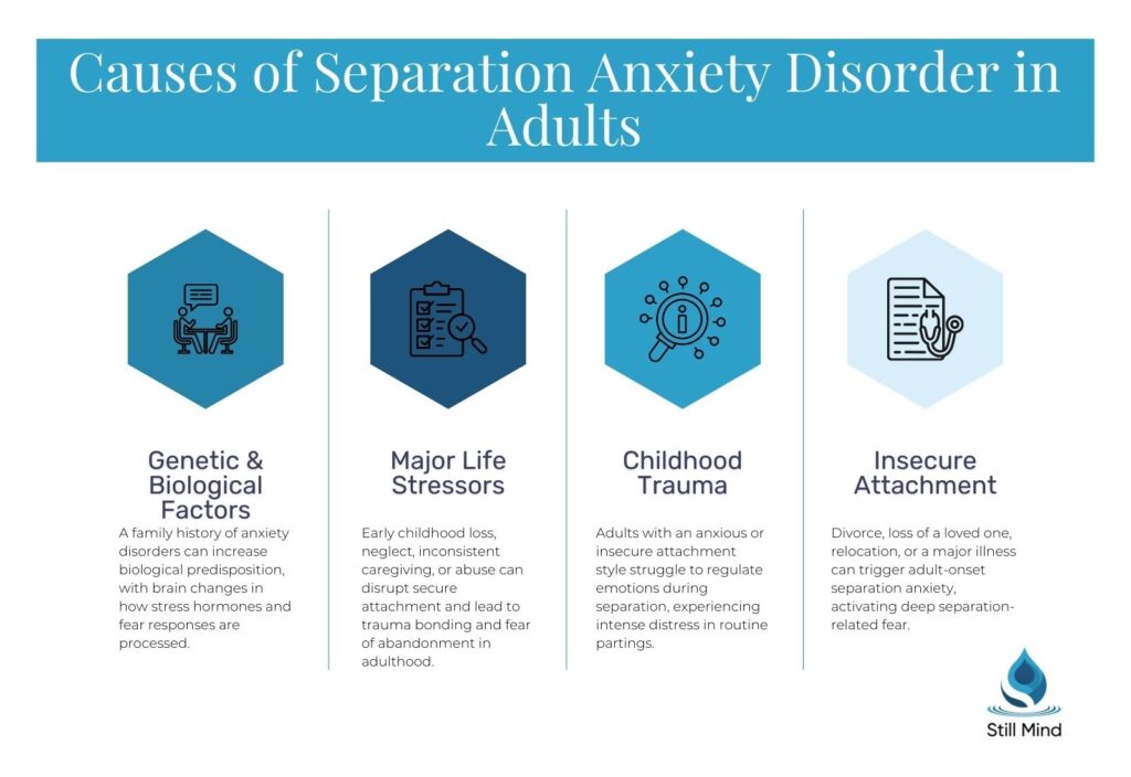  four main causes of separation anxiety disorder in adults: Genetic and Biological Factors, Major Life Stressors, Childhood Trauma, and Insecure Attachment.