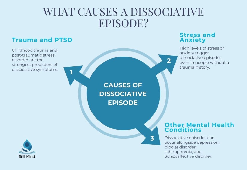 What Causes a Dissociative Episode? Trauma and PTSD, Stress and Anxiety, and Other Mental Health Conditions. stillmindflorida.com