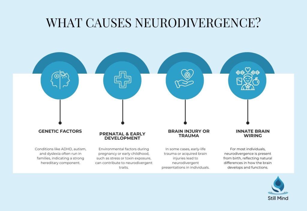 four main causes of neurodivergence: Genetic Factors, Prenatal & Early Development, Brain Injury or Trauma, and Innate Brain Wiring. Created by Still Mind Florida.
