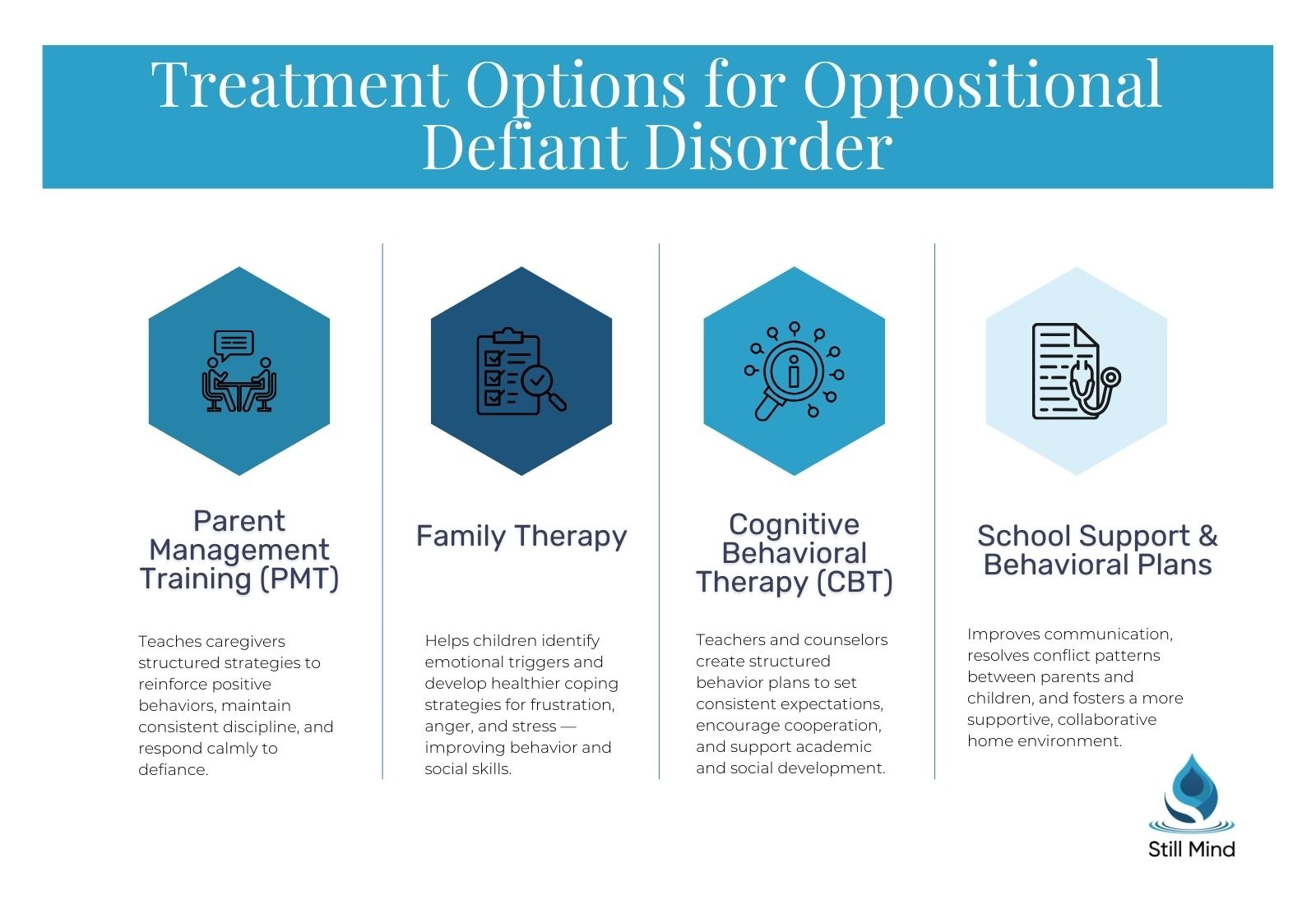 What Is Oppositional Defiant Disorder (ODD)? Symptoms, Causes, and ...