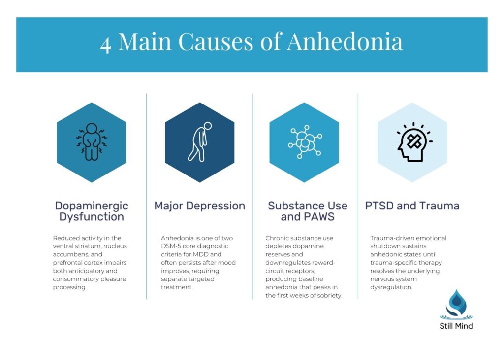 4 Main Causes of Anhedonia