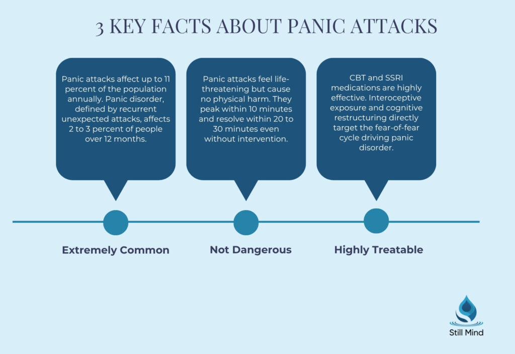 3 key facts about panic attacks
