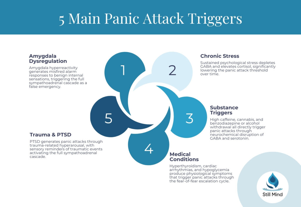 5 main panic attack triggers 