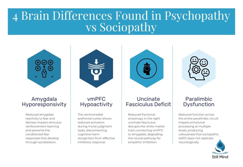 Brain differences in psychopathy and sociopathy
