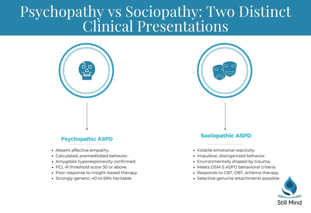 Psychopathy vs Sociopathy 
