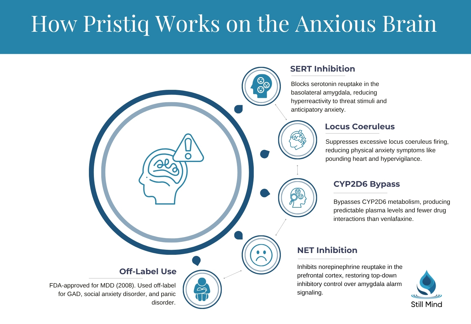 how Pristiq (desvenlafaxine) works on anxiety